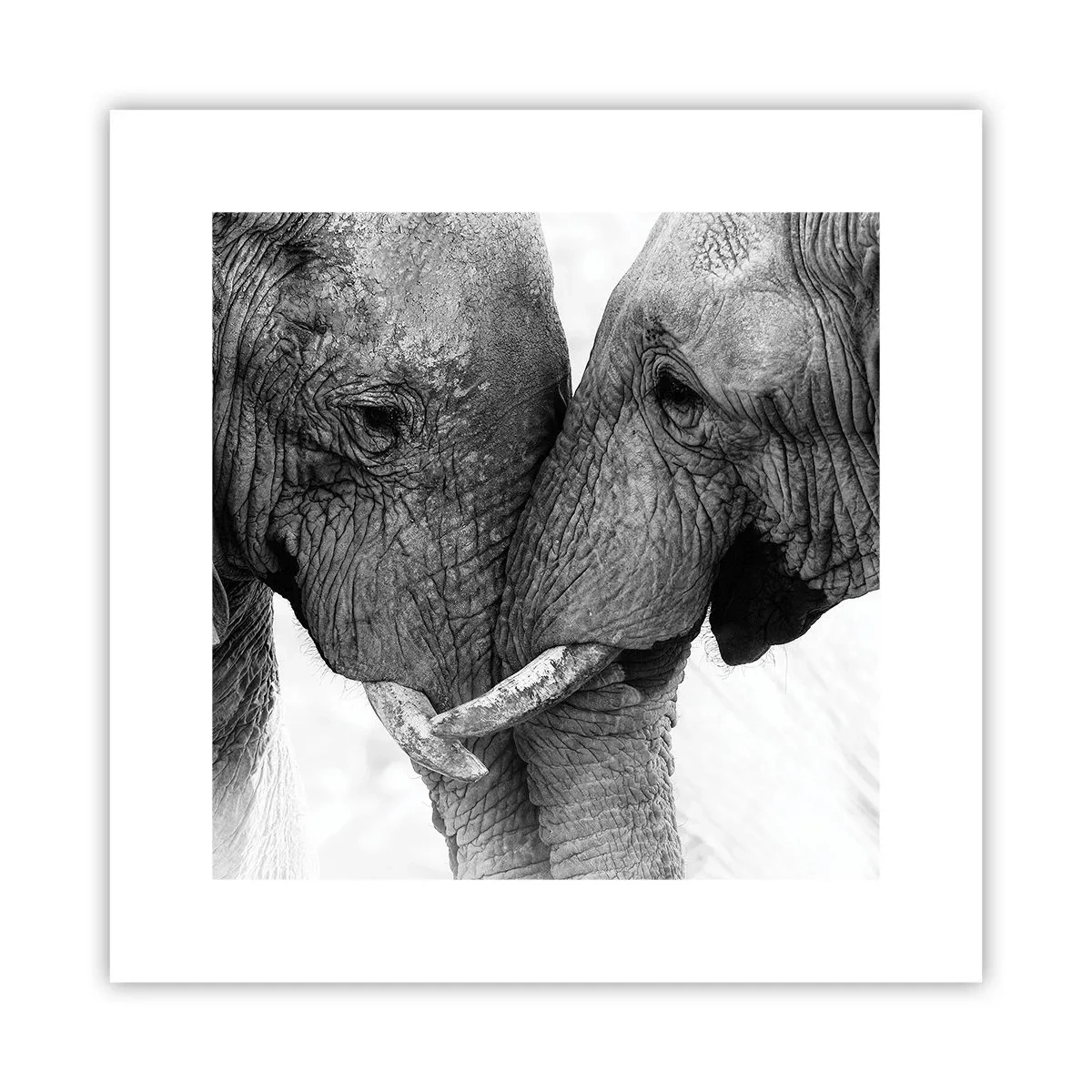 Poszter - Szívélyes vallomás - 30x30 cm