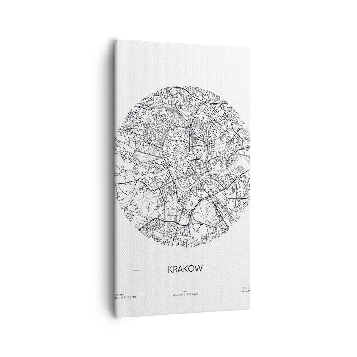 Vászonkép - Krakkó anatómiája - 55x100 cm
