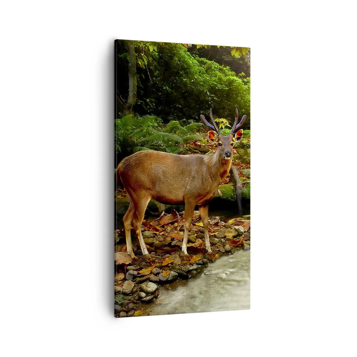 Vászonkép - üdvözöllek a világomban - 55x100 cm