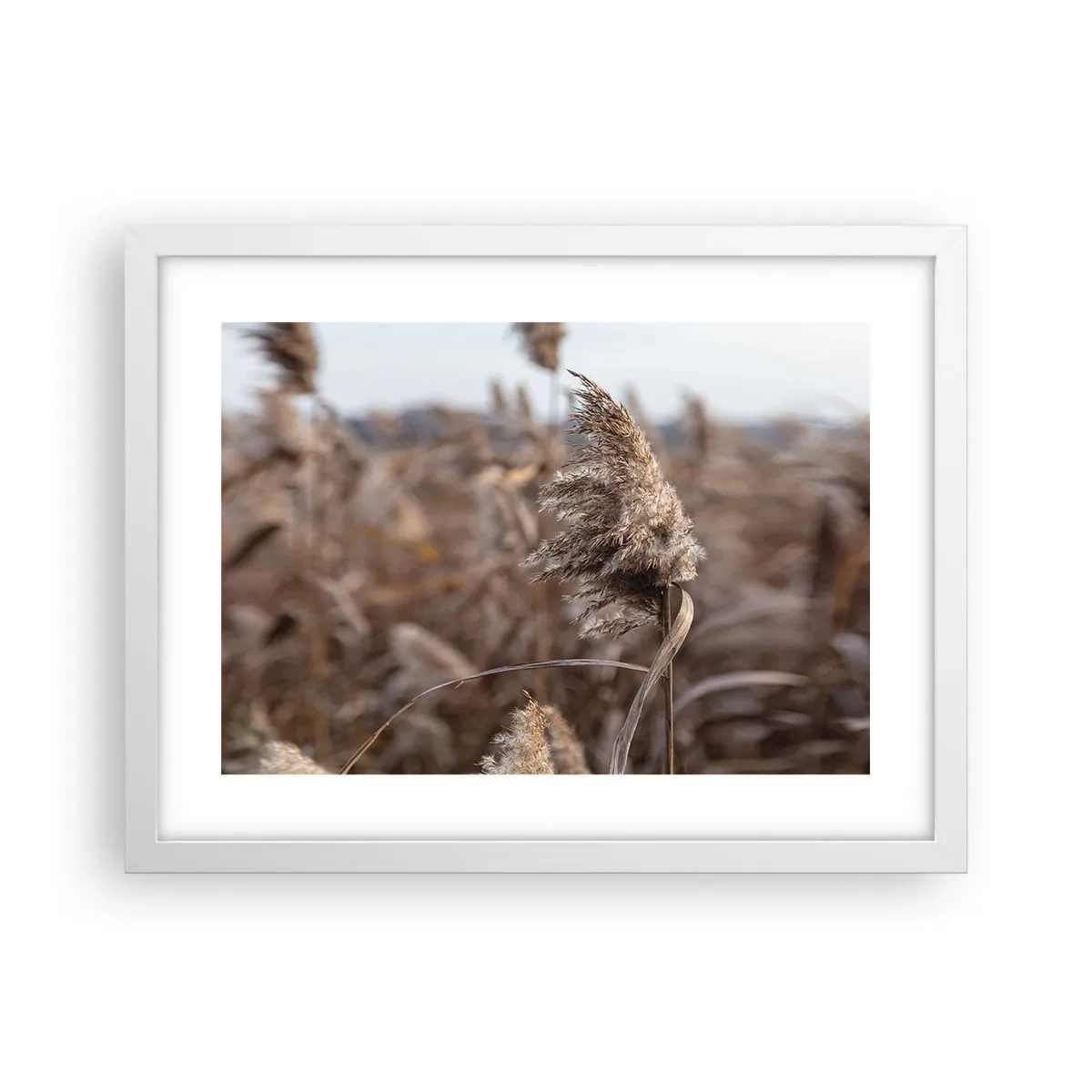 Poszter fekete keretben - Ideje elrepülni a széllel - 40x30 cm