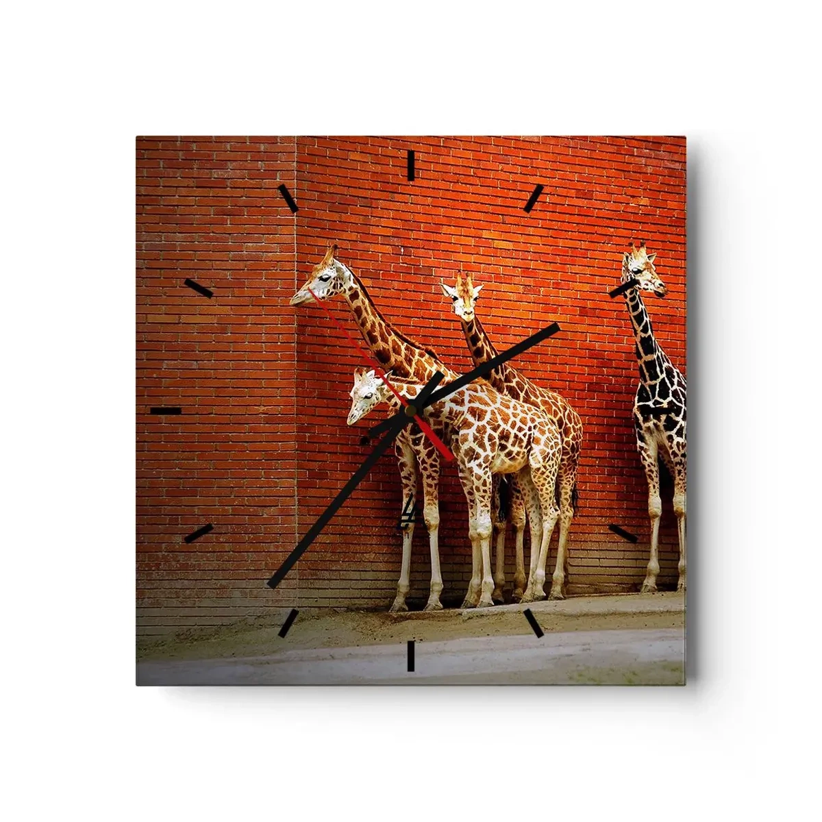 Falióra, Óra - Láttok akácot? - 40x40 cm