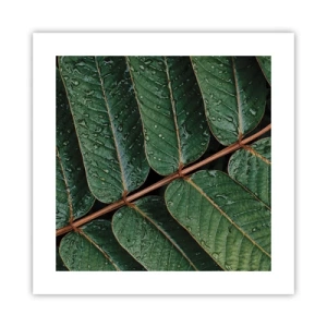 Poszter - Zöld ritmusban - 40x40 cm