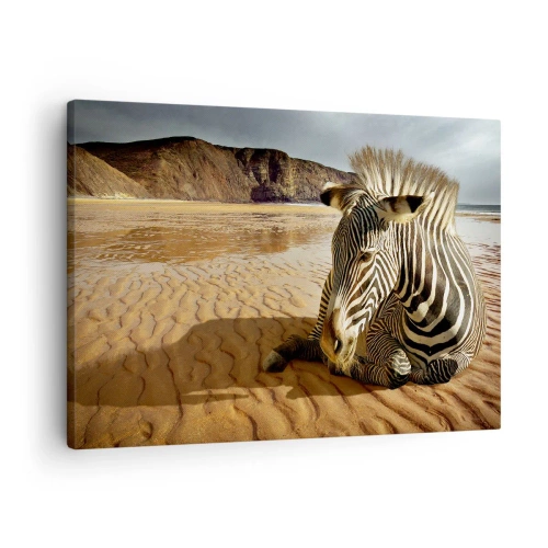 Vászonkép - Egy zebra pihen egy homokos tengerparton, a háttérben sziklákkal. - 70x50cm - Összepasszolunk - Modern fali dekoráció nappalihoz és hálószobához ARTTOR