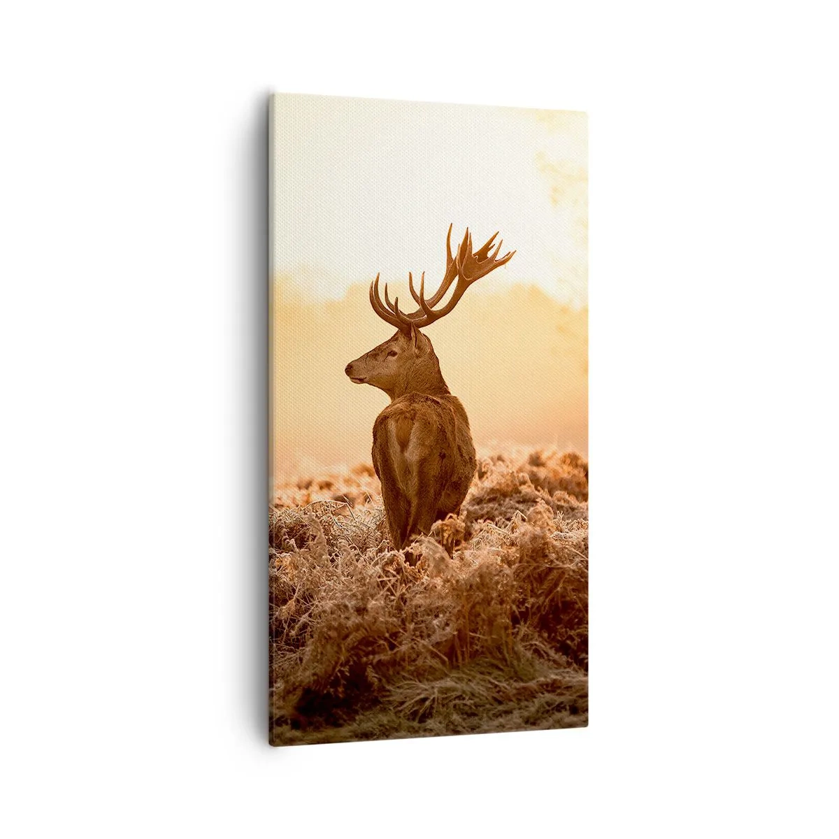 Vászonkép - A birtok ura - 55x100 cm