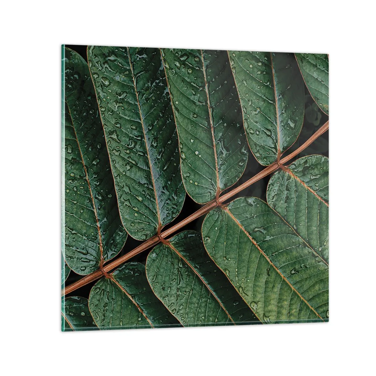 Üveg kép - Zöld ritmusban - 60x60 cm