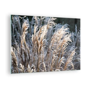 Üveg kép - Fagyott fűszálak a téli napsütésben - 70x50cm - Zúzmarába öltözött - Modern fali dekoráció nappalihoz és hálószobához ARTTOR