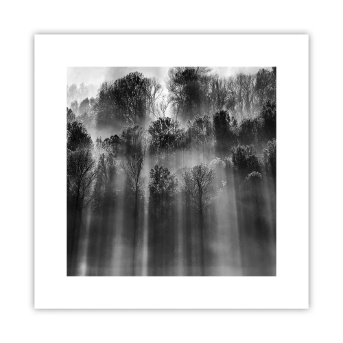 Poszter - Fénypatakokban - 30x30 cm