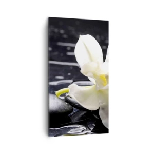 Vászonkép - Egy tanulmány fekete-fehérben - 45x80 cm