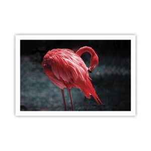 Poszter - A természet karmazsinvörös verse - 91x61 cm