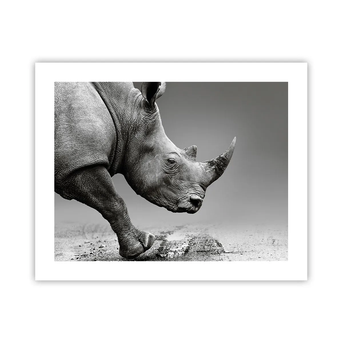 Poszter - Megállíthatatlan erő - 50x40 cm