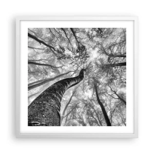 Poszter fekete keretben - Verseny a fény felé - 50x50 cm