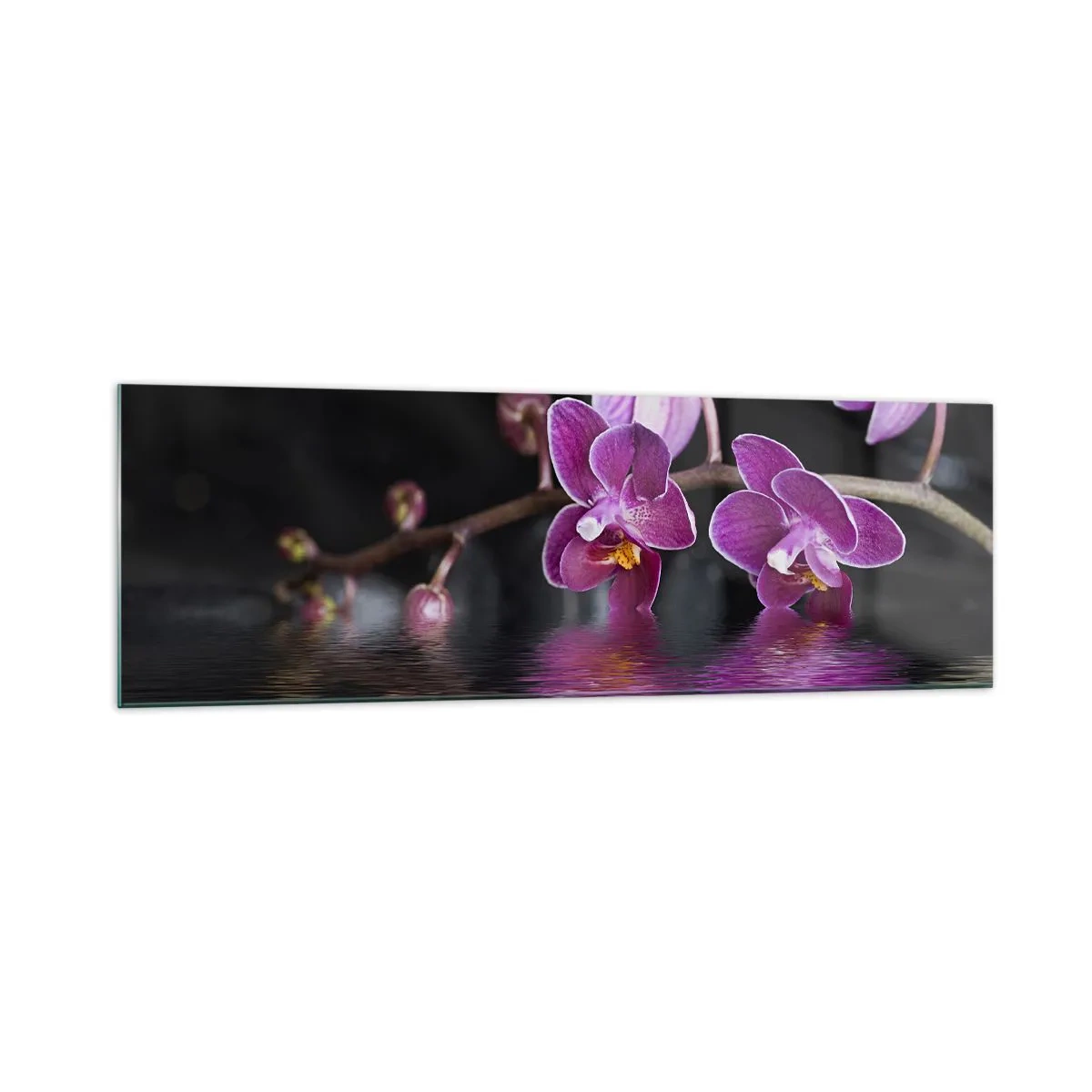 Üveg kép - Lila a szépség tükörképe - 160x50 cm