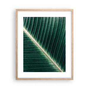 Poszter világos tölgy keretben - A természet ritmusa - 40x50 cm