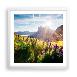 Poszter fekete keretben - A gyógynövények titkos élete - 50x50 cm