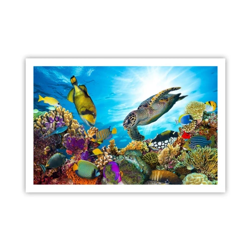 Poszter - Korall sétány - 91x61 cm