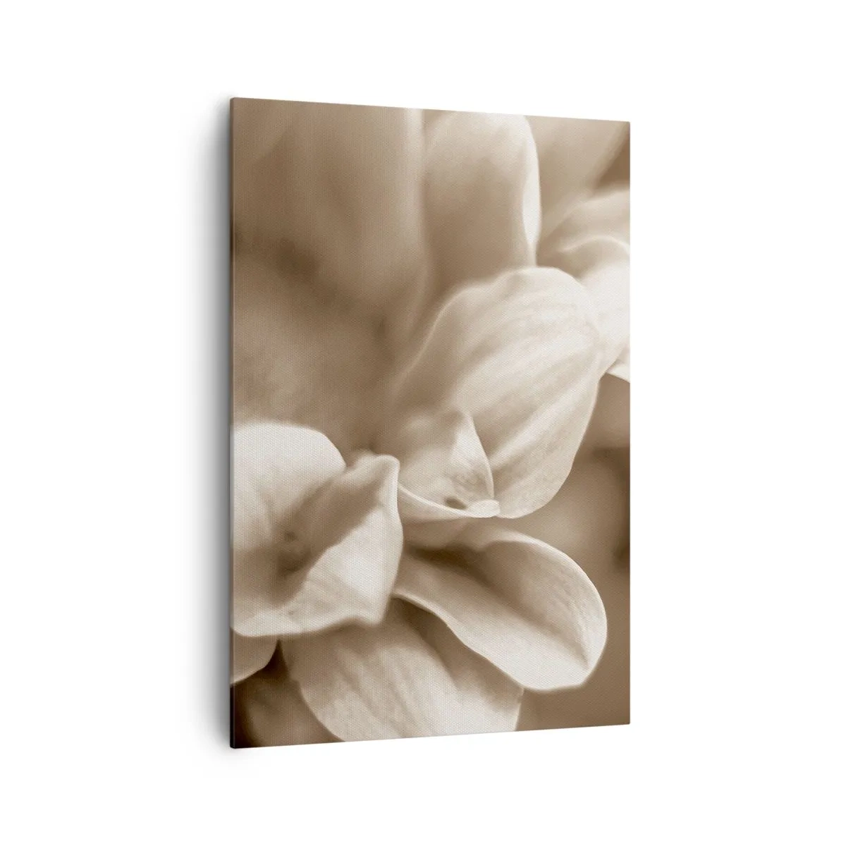 Vászonkép - Gyengéd, mint egy mosoly - 70x100 cm