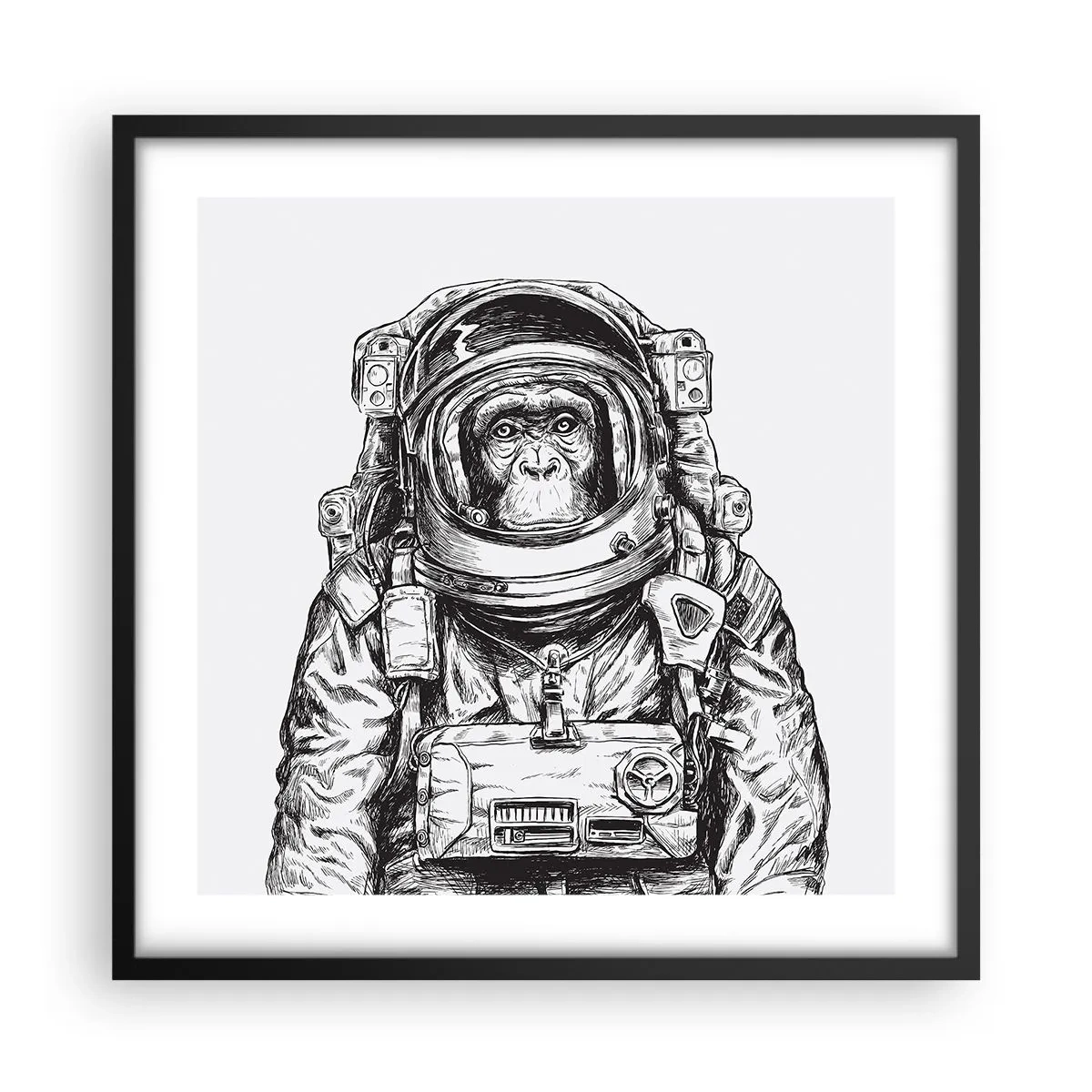 Poszter fehér keretben - Alternatív evolúció - 50x50 cm