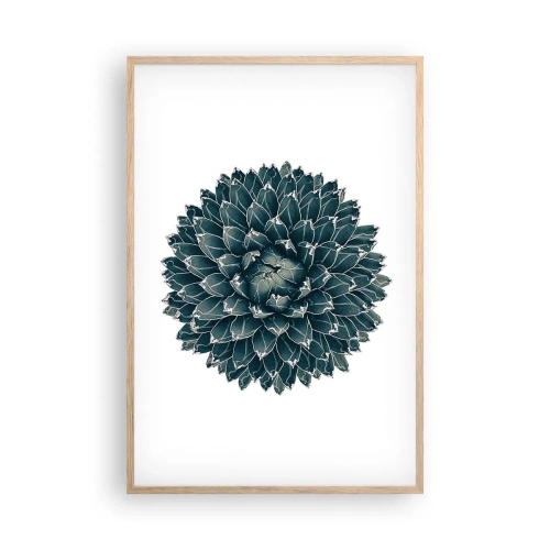 Poszter világos tölgy keretben - A sivatag csillaga - 61x91 cm