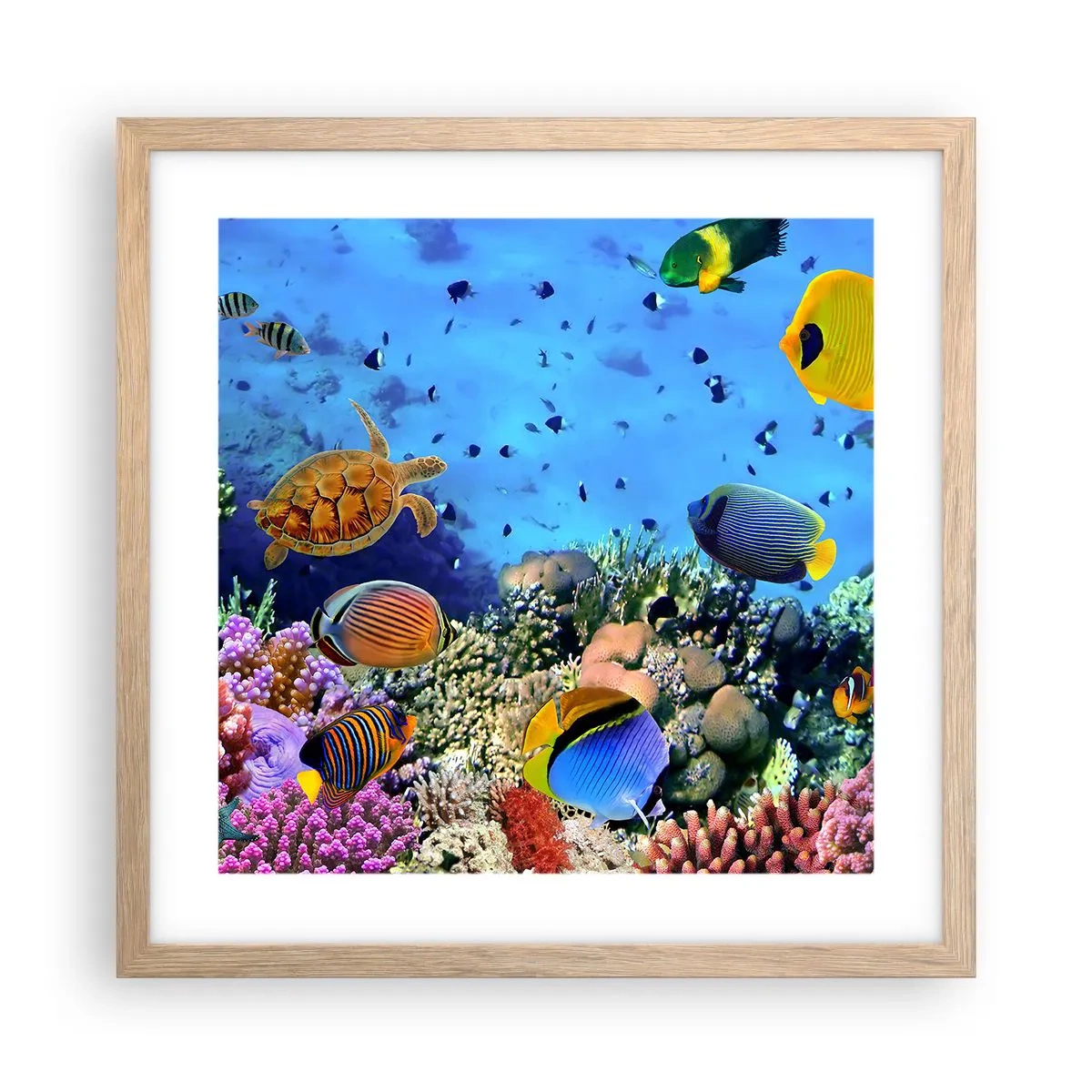 Poszter világos tölgy keretben - És mit tudunk az életről... - 40x40 cm