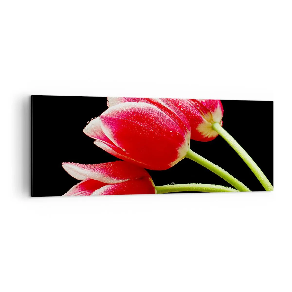 Vászonkép - A tiszta szerelem ígérete - 140x50 cm