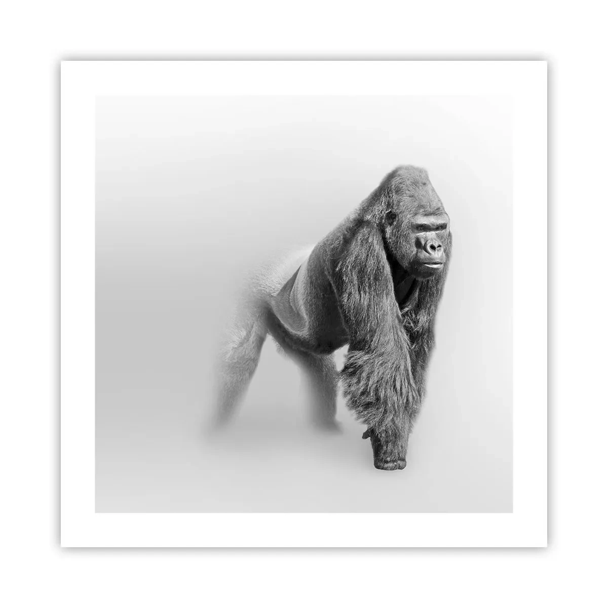 Poszter - Magabiztos az erejében - 50x50 cm