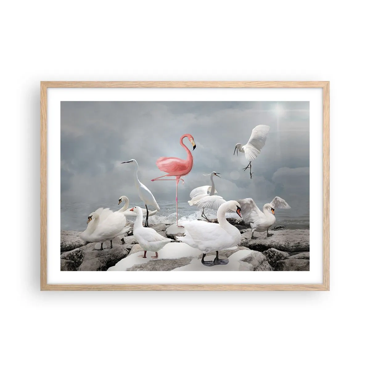 Poszter világos tölgy keretben - Hogy kerültem ide? - 70x50 cm