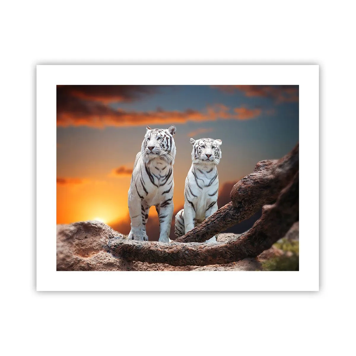 Poszter - Akárcsak Narnia - 50x40 cm