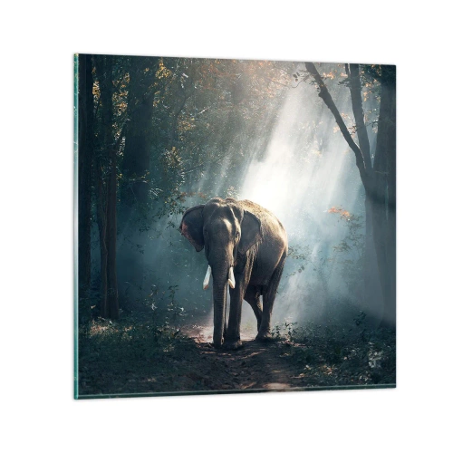 Üveg kép - Nyugodt séta - 70x70 cm