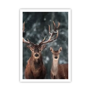 Poszter - Az erdő ura a feleségével - 70x100 cm