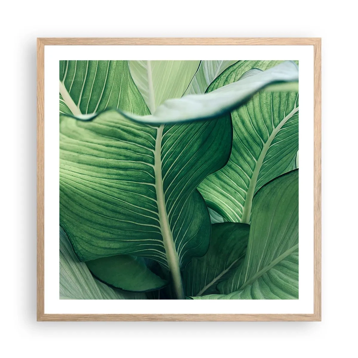Poszter világos tölgy keretben - Intenzíven zöld élet - 60x60 cm