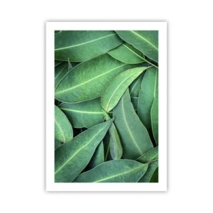 Poszter - Lédús és friss - 50x70 cm