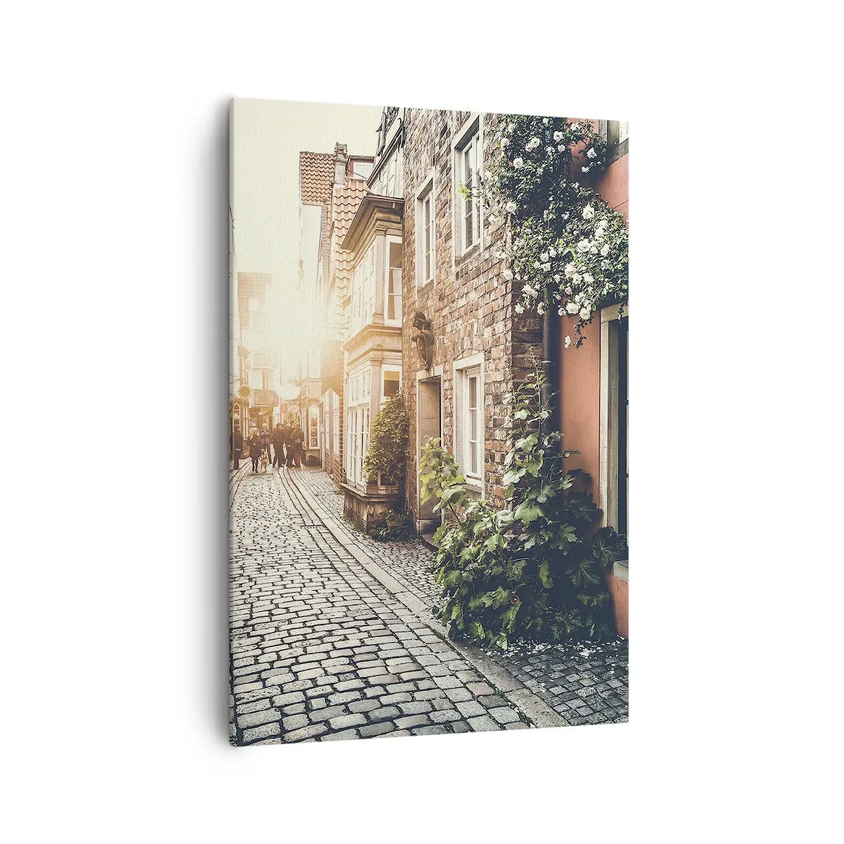 Vászonkép - Rózsa sikátor rózsaszín fényben - 70x100 cm