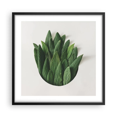 Poszter fehér keretben - Féktelen kíváncsiság - 50x50 cm