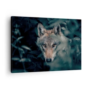 Vászonkép - Egy farkas természetes környezetében, amint az erdő mélyéről néz ki. - 70x50cm - Vadász - Modern fali dekoráció nappalihoz és hálószobához ARTTOR