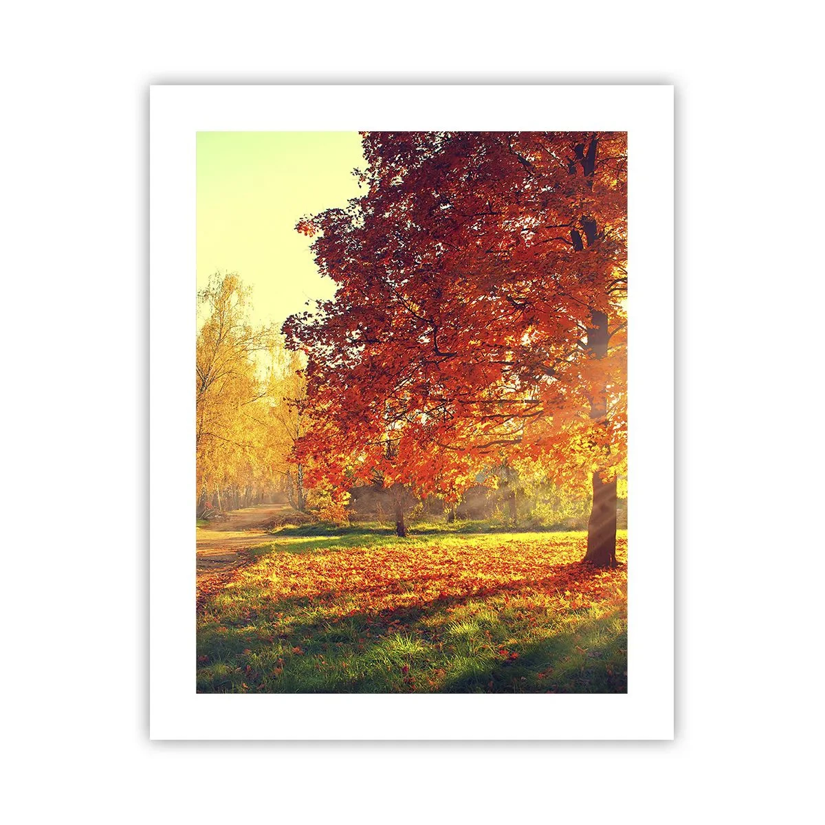 Poszter - A vörös gyönyörű - 40x50 cm