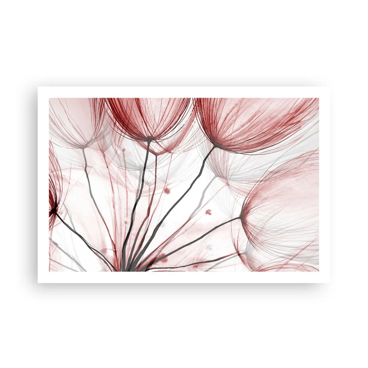 Poszter - Felszállás előtt - 91x61 cm