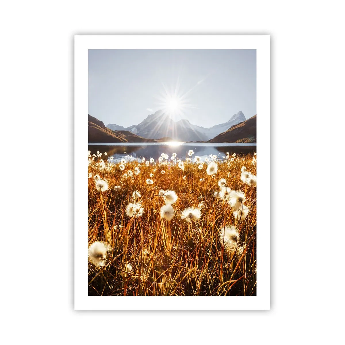 Poszter - Szikla keménysége, fű lágysága - 50x70 cm