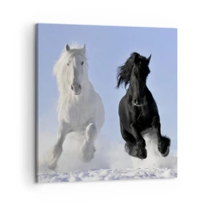 Vászonkép - Fekete-fehér galopp - 60x60 cm