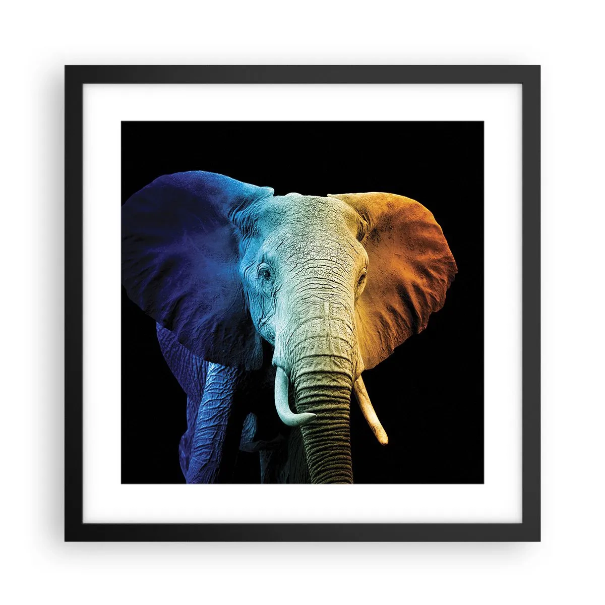 Poszter fehér keretben - Excentrikus, nem különc - 40x40 cm