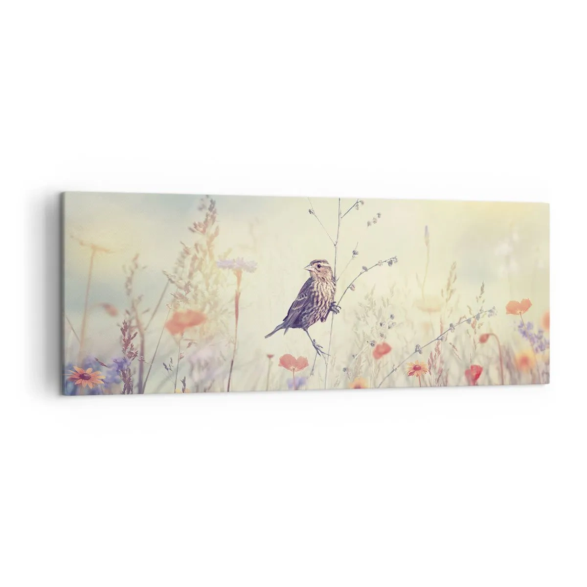 Vászonkép - Madárportré egy réttel a háttérben - 140x50 cm