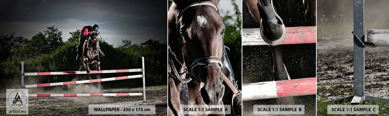 Fotótapéta Minta Standard Eco - Együtt a győzelemért - Állatok, Ló, Sport - 100x30 cm