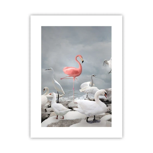 Poszter - Hogy kerültem ide? - 30x40 cm