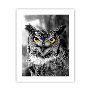 Poszter - Semmi sem fog elbújni - 40x50 cm