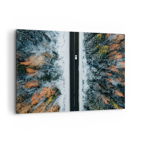 Vászonkép - Átvágni a téli erdőn - 100x70 cm