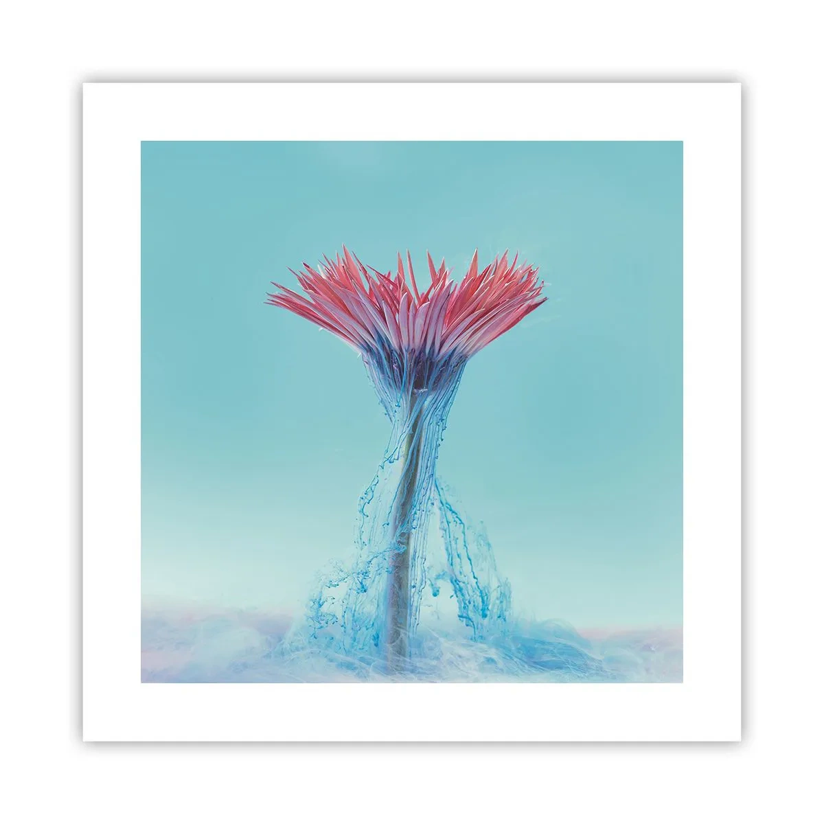 Poszter - Élénkítő ölelésben - 40x40 cm