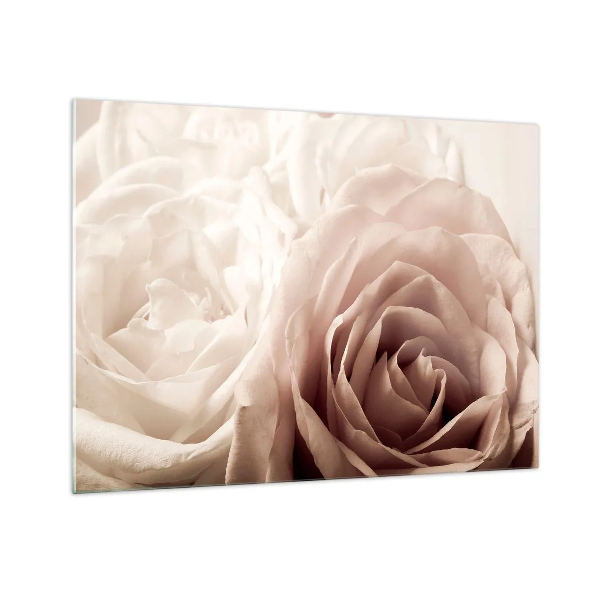 Üveg kép - Finom, világos rózsák romantikus közeli felvételen - 70x50cm - Egy rózsa szívében - Modern fali dekoráció nappalihoz és hálószobához ARTTOR
