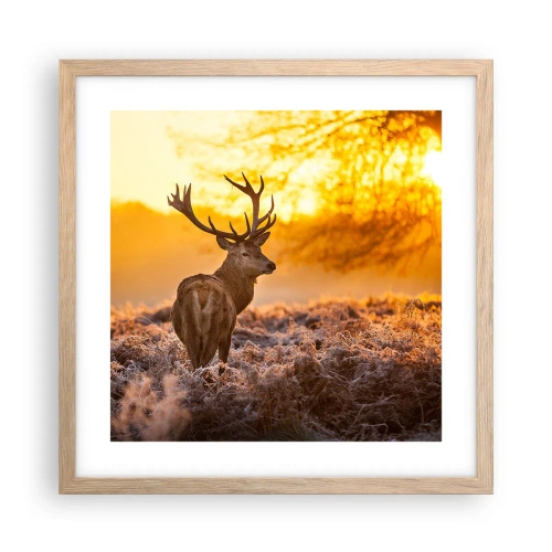 Poszter világos tölgy keretben - Az őszi erdő királya - 40x40 cm