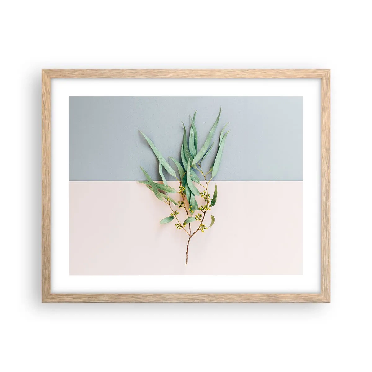 Poszter világos tölgy keretben - Pasztell finomság - 50x40 cm