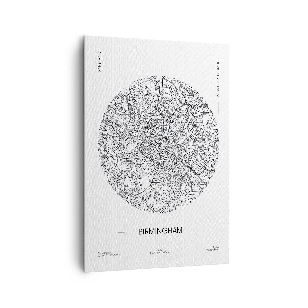 Vászonkép - Birmingham anatómiája - 70x100 cm