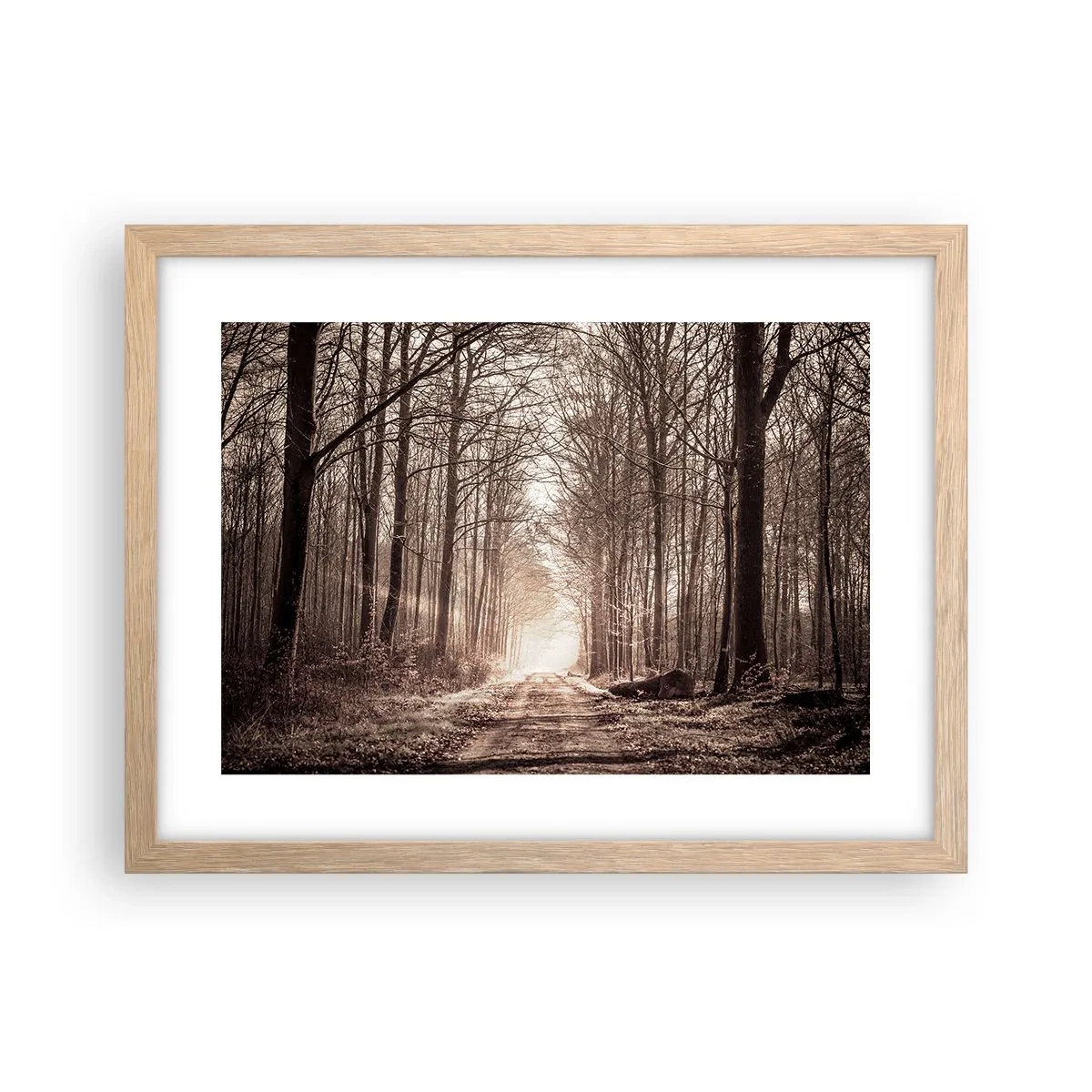 Poszter világos tölgy keretben - Erdei katedrális - 40x30 cm